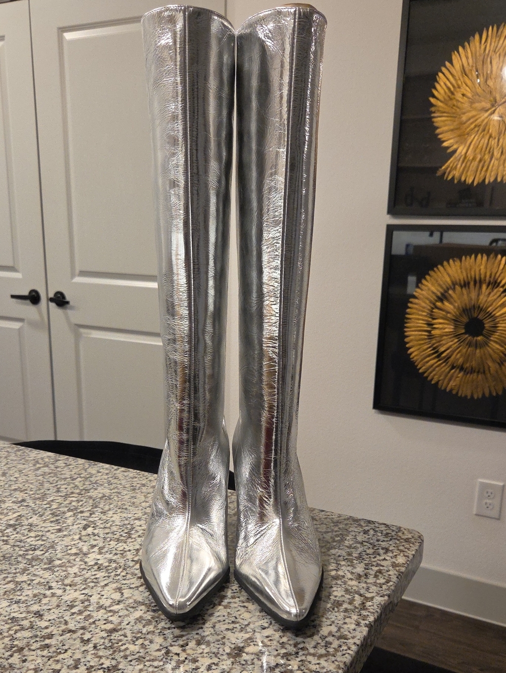 Zara Metallic Silver Knee-High Pointed Toe Boots